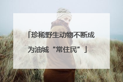 珍稀野生动物不断成为油城“常住民”