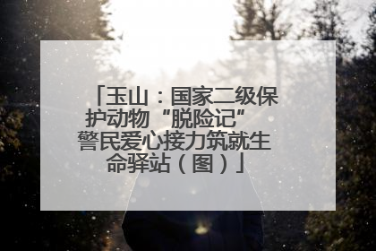 玉山：国家二级保护动物“脱险记” 警民爱心接力筑就生命驿站（图）