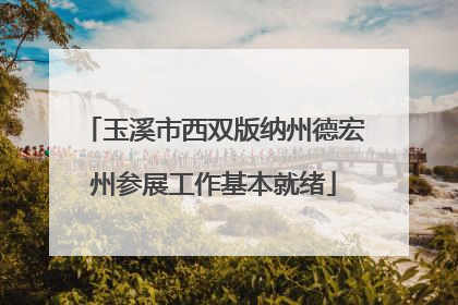 玉溪市西双版纳州德宏州参展工作基本就绪