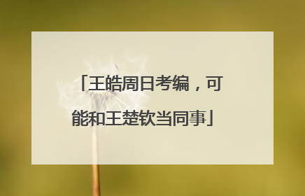 王皓周日考编，可能和王楚钦当同事