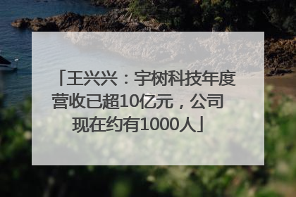 王兴兴：宇树科技年度营收已超10亿元，公司现在约有1000人