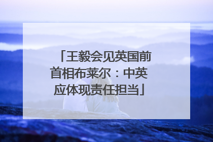 王毅会见英国前首相布莱尔：中英应体现责任担当