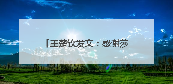 王楚钦发文：感谢莎莎，谢谢不管多痛苦也想证明一切的自己