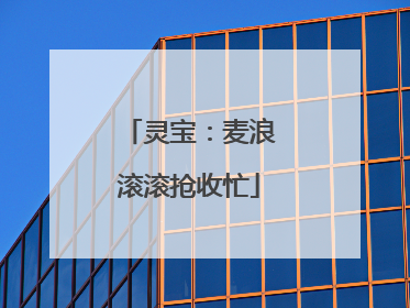 灵宝：麦浪滚滚抢收忙