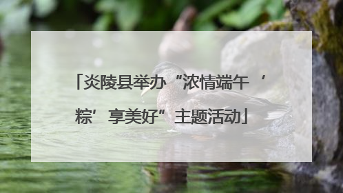 炎陵县举办“浓情端午‘粽’享美好”主题活动