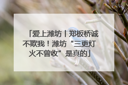 爱上潍坊丨郑板桥诚不欺我！潍坊“三更灯火不曾收”是真的
