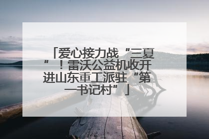 爱心接力战“三夏”！雷沃公益机收开进山东重工派驻“第一书记村”