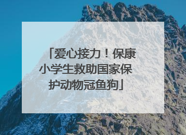 爱心接力！保康小学生救助国家保护动物冠鱼狗
