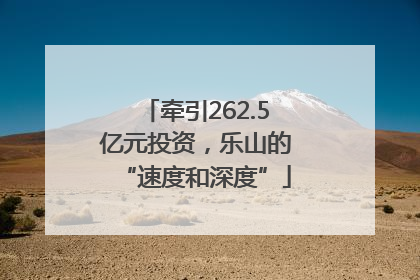 牵引262.5亿元投资，乐山的“速度和深度”