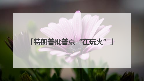 特朗普批普京“在玩火”