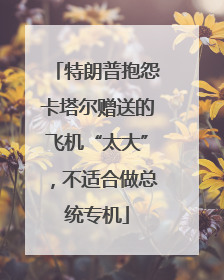 特朗普抱怨卡塔尔赠送的飞机“太大”，不适合做总统专机