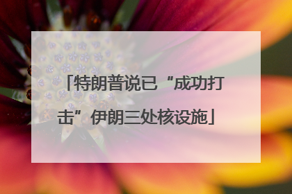 特朗普说已“成功打击”伊朗三处核设施