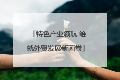 特色产业领航 绘就外贸发展新画卷
