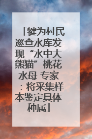 犍为村民巡查水库发现“水中大熊猫”桃花水母 专家：将采集样本鉴定具体种属