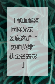 献血献浆同样光荣 娄底这群“热血英雄”获全省表彰