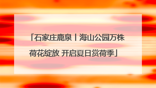石家庄鹿泉丨海山公园万株荷花绽放 开启夏日赏荷季