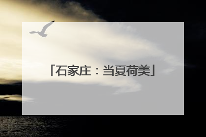 石家庄：当夏荷美