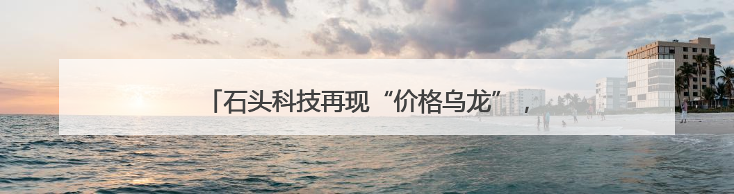 石头科技再现“价格乌龙”，其一季度存货同比增长近两倍
