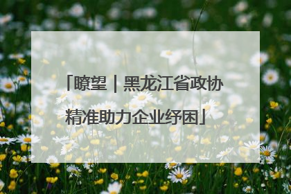 瞭望｜黑龙江省政协精准助力企业纾困