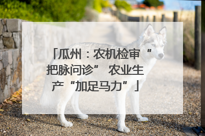 瓜州：农机检审“把脉问诊” 农业生产“加足马力”