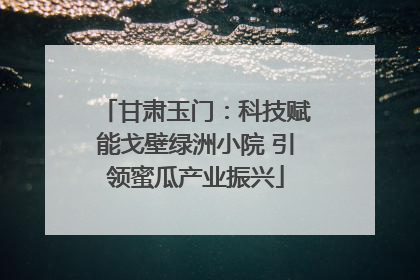 甘肃玉门：科技赋能戈壁绿洲小院 引领蜜瓜产业振兴