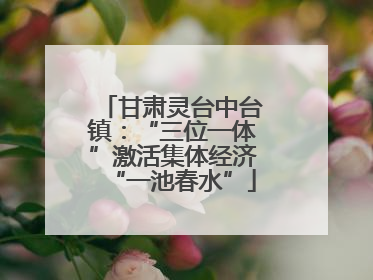 甘肃灵台中台镇：“三位一体”激活集体经济“一池春水”