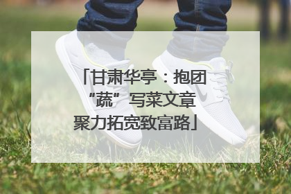 甘肃华亭：抱团“蔬”写菜文章 聚力拓宽致富路