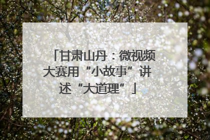 甘肃山丹：微视频大赛用“小故事”讲述“大道理”