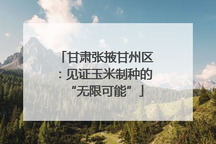 甘肃张掖甘州区：见证玉米制种的“无限可能”
