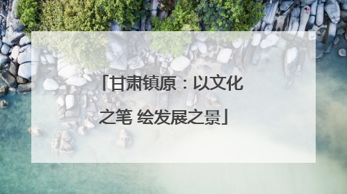 甘肃镇原：以文化之笔 绘发展之景