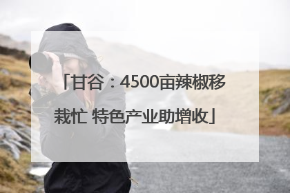 甘谷：4500亩辣椒移栽忙 特色产业助增收