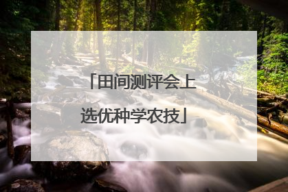田间测评会上选优种学农技