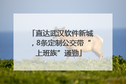直达武汉软件新城，8条定制公交带“上班族”通勤