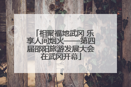 相聚福地武冈 乐享人间烟火——第四届邵阳旅游发展大会在武冈开幕