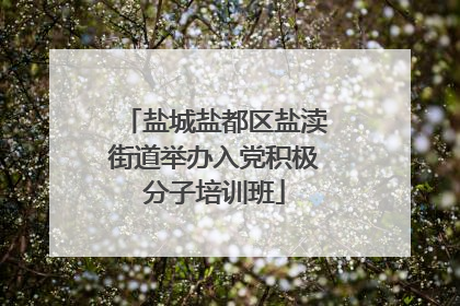 盐城盐都区盐渎街道举办入党积极分子培训班