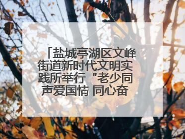 盐城亭湖区文峰街道新时代文明实践所举行“老少同声爱国情 同心奋进新征程”为主题的红色文化活动