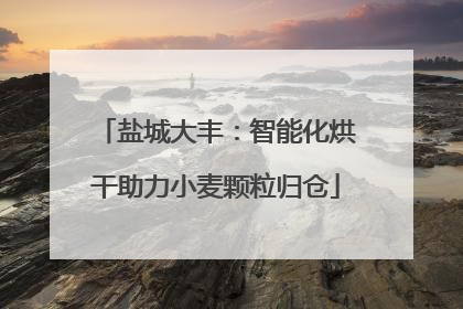 盐城大丰：智能化烘干助力小麦颗粒归仓