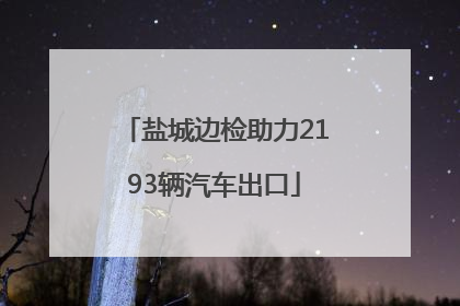 盐城边检助力2193辆汽车出口