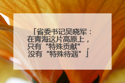 省委书记吴晓军：在青海这片高原上，只有“特殊贡献”，没有“特殊待遇”