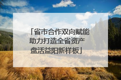 省市合作双向赋能 助力打造全省资产盘活益阳新样板
