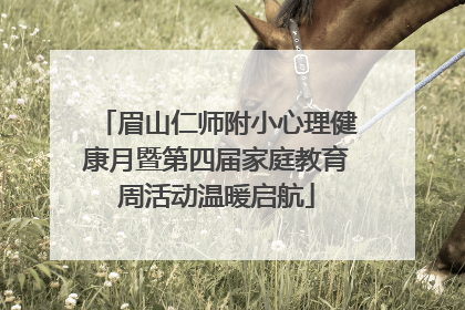 眉山仁师附小心理健康月暨第四届家庭教育周活动温暖启航