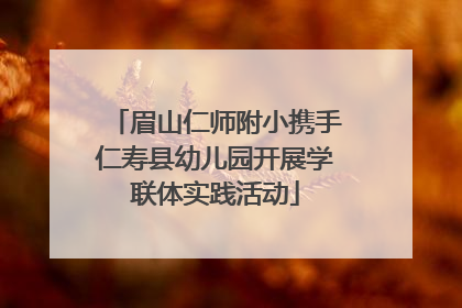 眉山仁师附小携手仁寿县幼儿园开展学联体实践活动