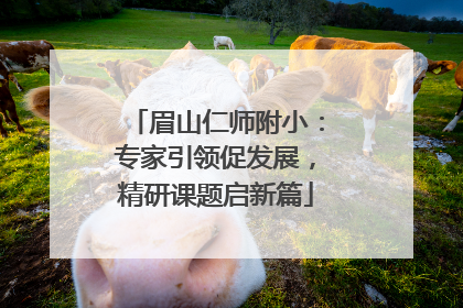 眉山仁师附小：专家引领促发展，精研课题启新篇