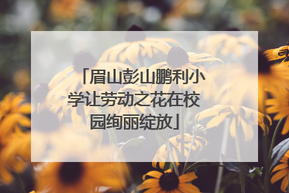 眉山彭山鹏利小学让劳动之花在校园绚丽绽放