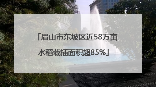 眉山市东坡区近58万亩水稻栽插面积超85%