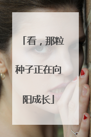 看，那粒种子正在向阳成长