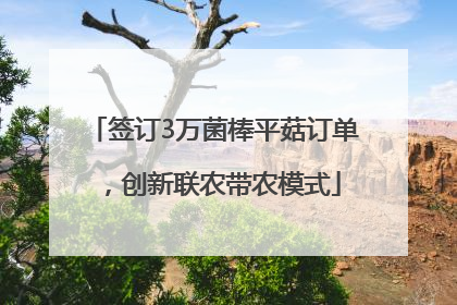 签订3万菌棒平菇订单，创新联农带农模式