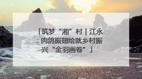 筑梦“湘”村｜江永：肉鸽振翅绘就乡村振兴“金羽画卷”