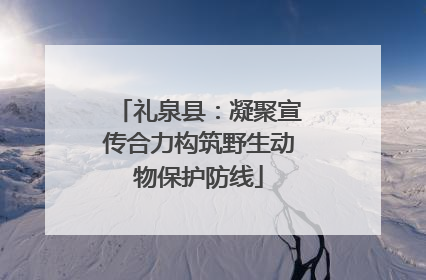 礼泉县：凝聚宣传合力构筑野生动物保护防线