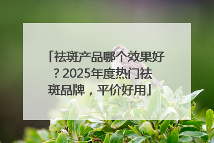 祛斑产品哪个效果好？2025年度热门祛斑品牌，平价好用